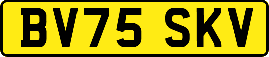 BV75SKV