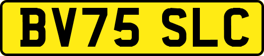 BV75SLC