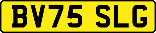 BV75SLG
