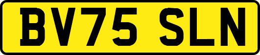 BV75SLN