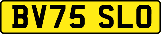 BV75SLO