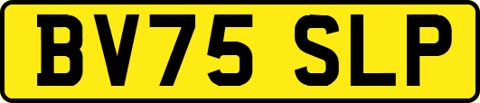 BV75SLP