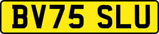 BV75SLU
