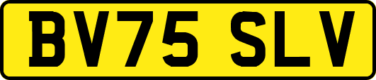 BV75SLV