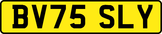 BV75SLY