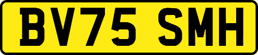 BV75SMH
