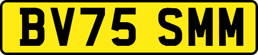 BV75SMM