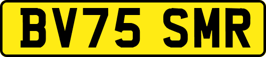 BV75SMR