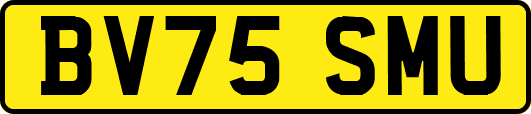 BV75SMU