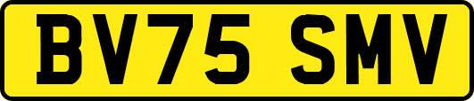 BV75SMV