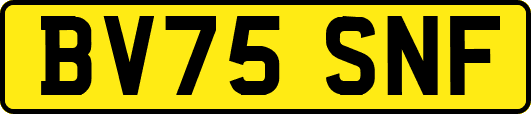 BV75SNF