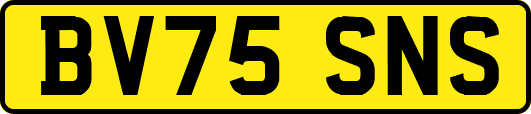BV75SNS