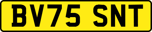 BV75SNT