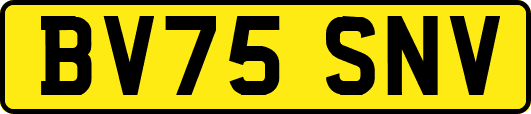 BV75SNV