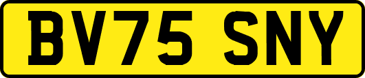 BV75SNY
