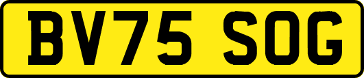 BV75SOG
