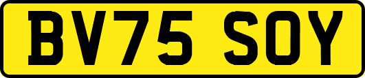 BV75SOY