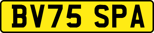 BV75SPA