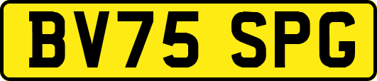 BV75SPG