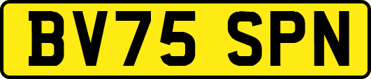 BV75SPN