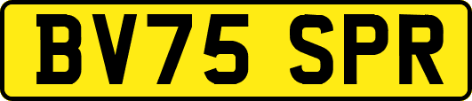 BV75SPR