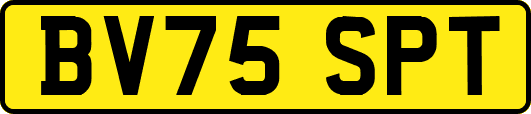 BV75SPT