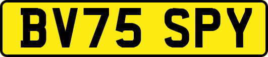 BV75SPY