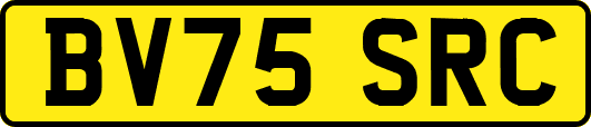 BV75SRC