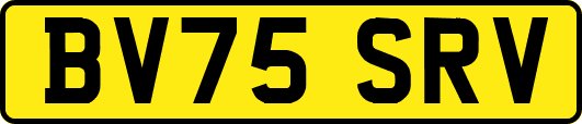 BV75SRV