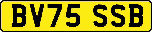 BV75SSB
