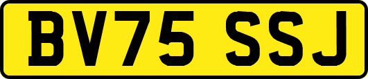 BV75SSJ