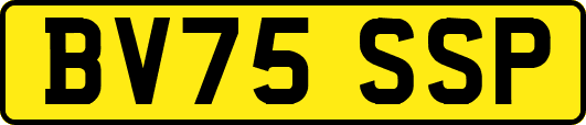 BV75SSP