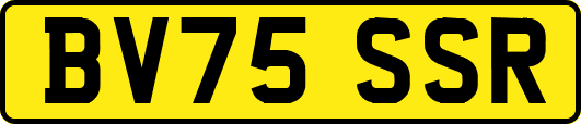 BV75SSR