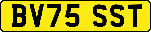 BV75SST