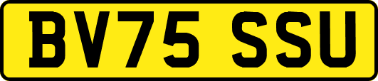 BV75SSU