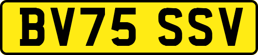 BV75SSV