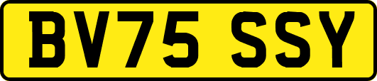 BV75SSY