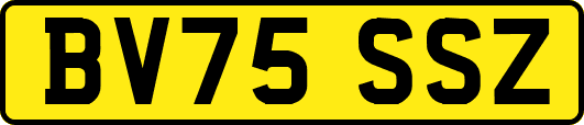 BV75SSZ