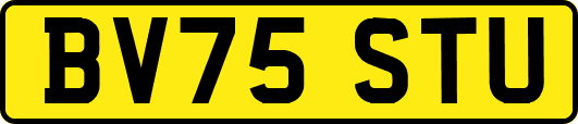 BV75STU