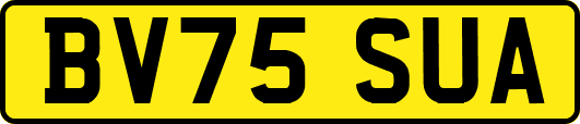 BV75SUA