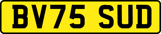 BV75SUD