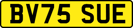 BV75SUE