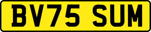 BV75SUM