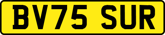 BV75SUR
