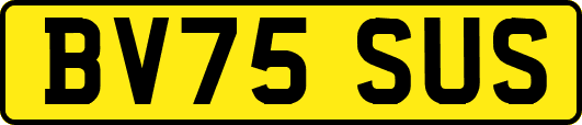 BV75SUS