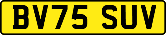 BV75SUV