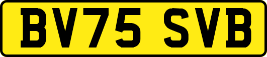 BV75SVB