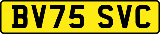 BV75SVC