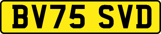 BV75SVD