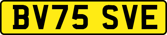 BV75SVE